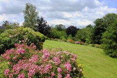 HH-Lawn-view
