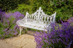 Bench-and-Lavendar