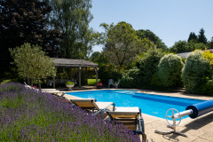 Pool-looking-towards-house